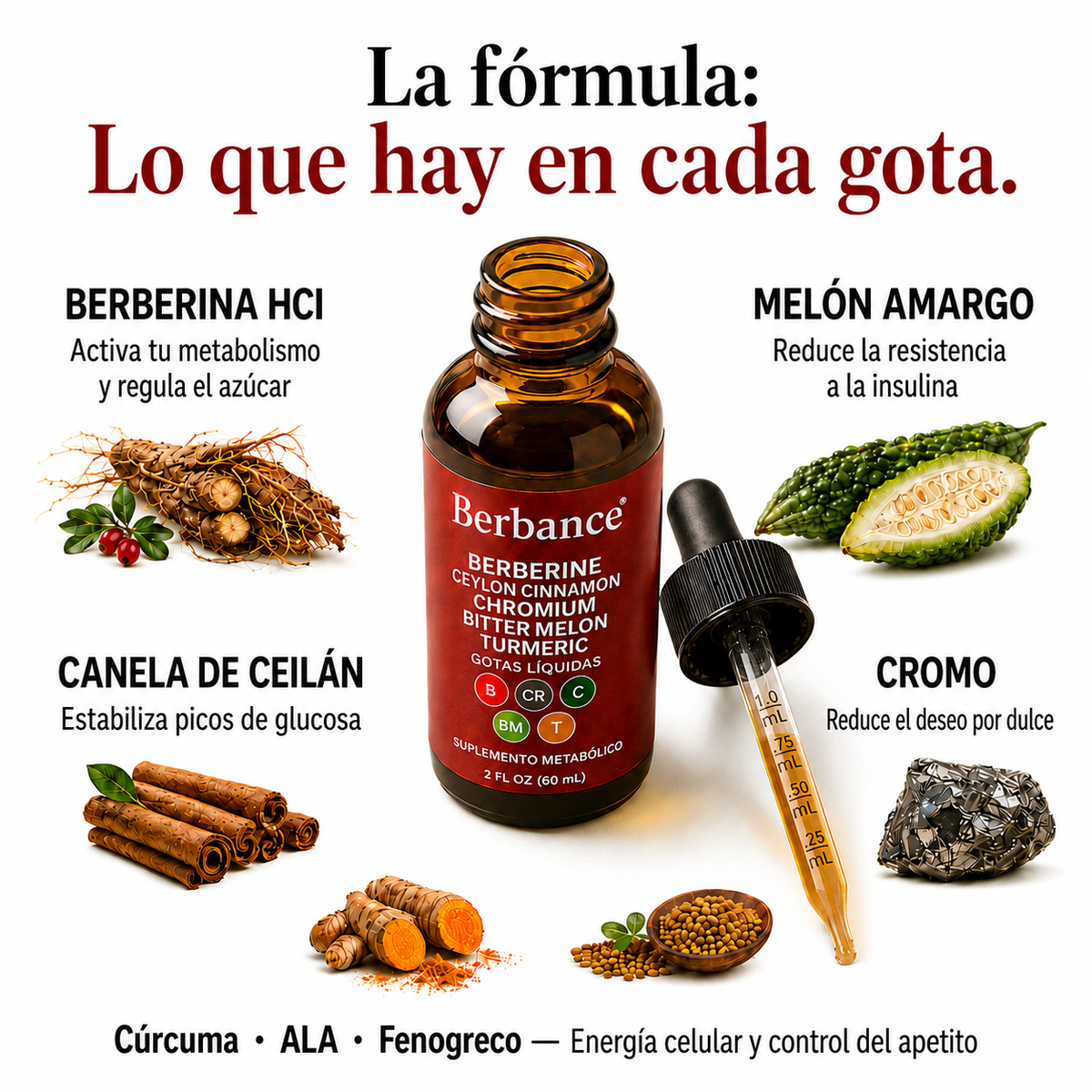 Berbance Drops®